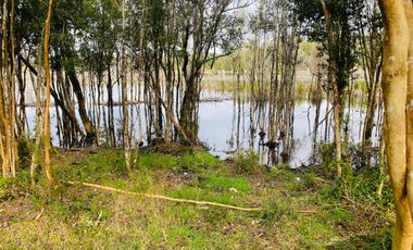 V 1581-LR-Vendo 3 Parcelas  en Colaco  -Calbuco