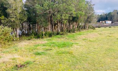 V 1581-LR-Vendo 3 Parcelas  en Colaco  -Calbuco