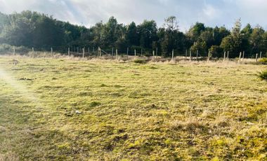 V 1581-LR-Vendo 3 Parcelas  en Colaco  -Calbuco