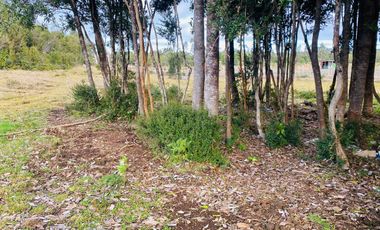 V 1581-LR-Vendo 3 Parcelas  en Colaco  -Calbuco