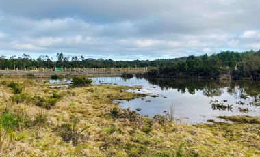 V 1581-LR-Vendo 3 Parcelas  en Colaco  -Calbuco