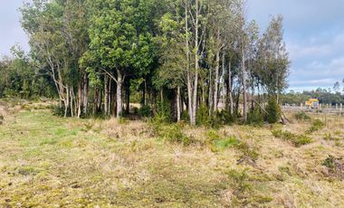 V 1581-LR-Vendo 3 Parcelas  en Colaco  -Calbuco