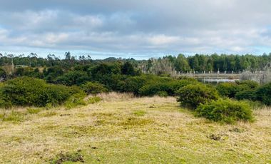 V 1581-LR-Vendo 3 Parcelas  en Colaco  -Calbuco