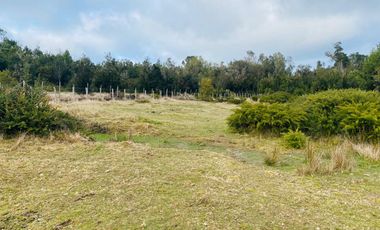 V 1581-LR-Vendo 3 Parcelas  en Colaco  -Calbuco