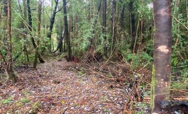 V 1582-LR-Vendo Parcelas  en Maullín