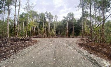 V 1582-LR-Vendo Parcelas  en Maullín