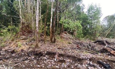 V 1582-LR-Vendo Parcelas  en Maullín