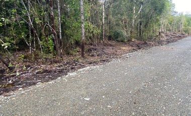 V 1582-LR-Vendo Parcelas  en Maullín