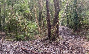 V 1582-LR-Vendo Parcelas  en Maullín