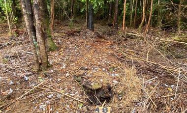 V 1582-LR-Vendo Parcelas  en Maullín