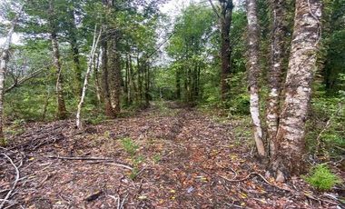 V 1582-LR-Vendo Parcelas  en Maullín