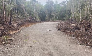 V 1582-LR-Vendo Parcelas  en Maullín