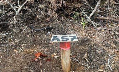 V 1582-LR-Vendo Parcelas  en Maullín