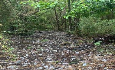 V 1582-LR-Vendo Parcelas  en Maullín