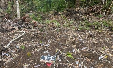 V 1582-LR-Vendo Parcelas  en Maullín