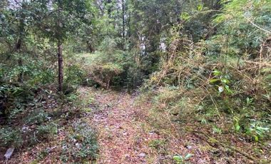 V 1582-LR-Vendo Parcelas  en Maullín