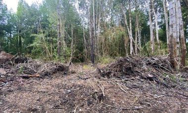 V 1582-LR-Vendo Parcelas  en Maullín