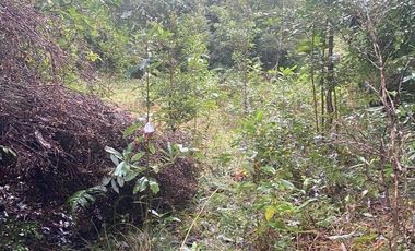 V 1582-LR-Vendo Parcelas  en Maullín