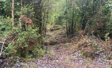 V 1582-LR-Vendo Parcelas  en Maullín