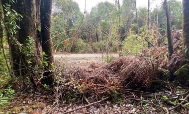 V 1582-LR-Vendo Parcelas  en Maullín