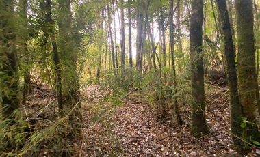 V 1582-LR-Vendo Parcelas  en Maullín