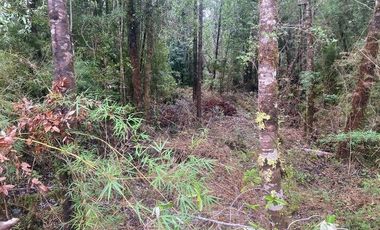 V 1582-LR-Vendo Parcelas  en Maullín