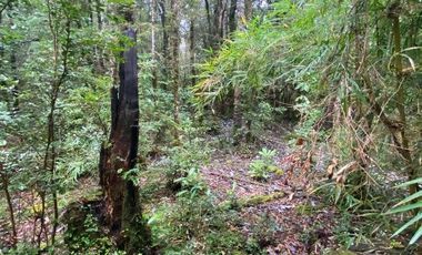 V 1582-LR-Vendo Parcelas  en Maullín