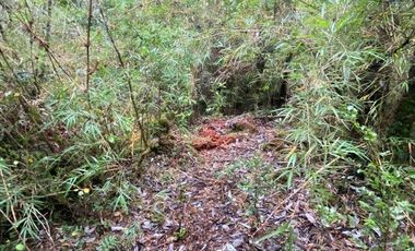 V 1582-LR-Vendo Parcelas  en Maullín