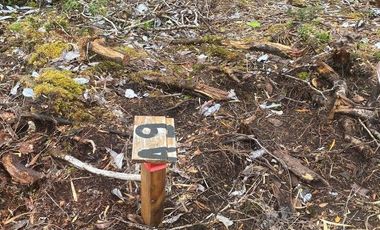 V 1582-LR-Vendo Parcelas  en Maullín