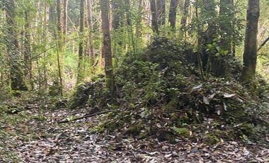 V 1582-LR-Vendo Parcelas  en Maullín