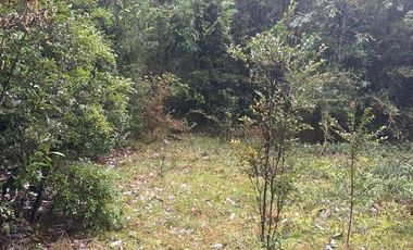 V 1582-LR-Vendo Parcelas  en Maullín