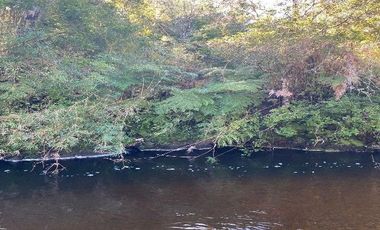 V 1582-LR-Vendo Parcelas  en Maullín