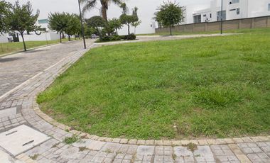 LOTES ULTRA PREMIUM - PARQUE SAN JOSE - ZONA AZUL