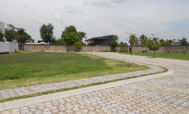 LOTE PREMIUM - PARQUE SONORA