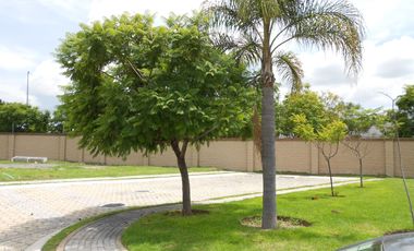 LOTE PREMIUM - PARQUE SONORA