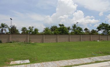 LOTE PREMIUM - PARQUE SONORA