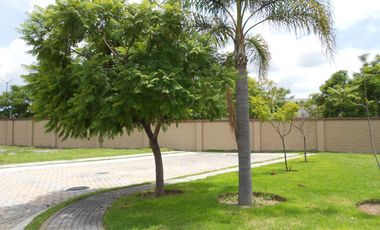 LOTE PREMIUM - PARQUE SONORA