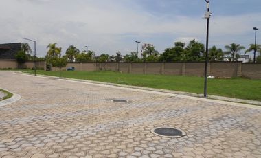 LOTE PREMIUM - PARQUE SONORA