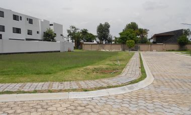 LOTE PREMIUM - PARQUE SONORA