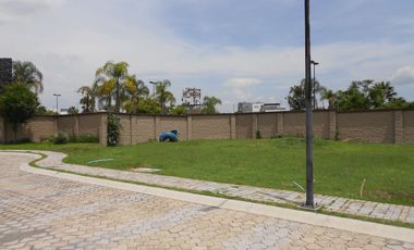 LOTE PREMIUM - PARQUE SONORA
