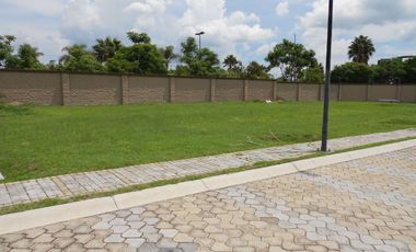 LOTE PREMIUM - PARQUE SONORA