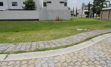 LOTE PREMIUM - PARQUE SONORA