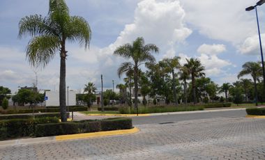 LOTE PREMIUM - PARQUE SONORA