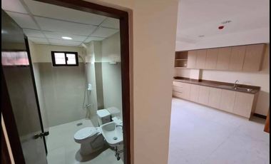 4 Storey Hotel - Apartment Building for Sale in Tipolo, Mandaue