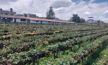 TERRENO EN VENTA ASCÁZUBI – CAYAMBE 2.880 M2