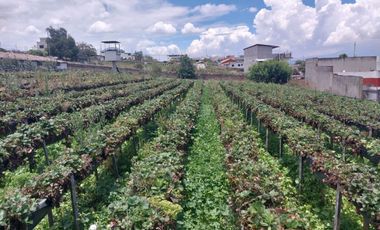 TERRENO EN VENTA ASCÁZUBI – CAYAMBE 2.880 M2