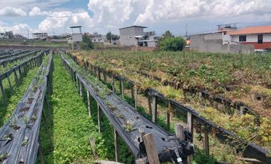 TERRENO EN VENTA ASCÁZUBI – CAYAMBE 2.880 M2