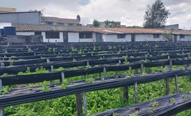 TERRENO EN VENTA ASCÁZUBI – CAYAMBE 2.880 M2