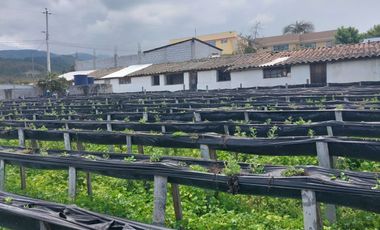 TERRENO EN VENTA ASCÁZUBI – CAYAMBE 2.880 M2