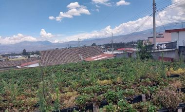 TERRENO EN VENTA ASCÁZUBI – CAYAMBE 2.880 M2